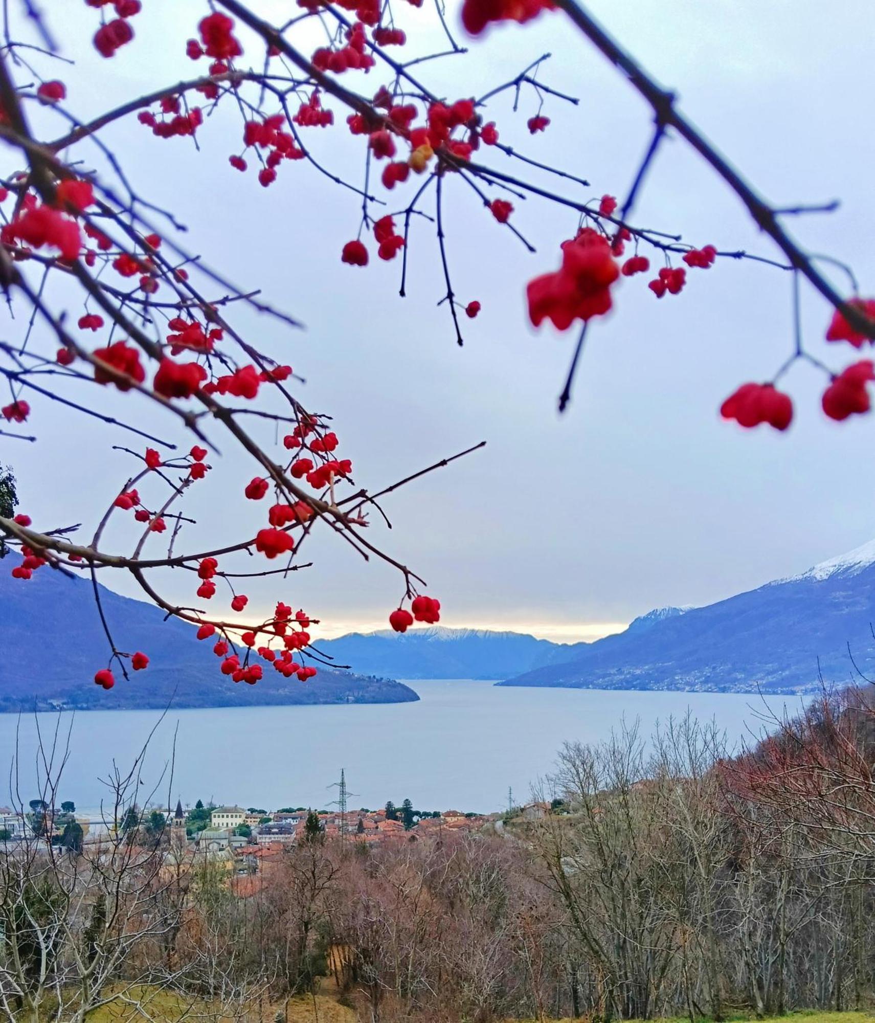 Lake Como Borgo Vignola Cremia Exteriör bild